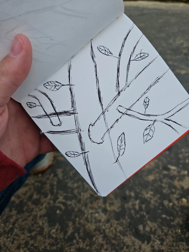 Gambar diunggah dening Anthony