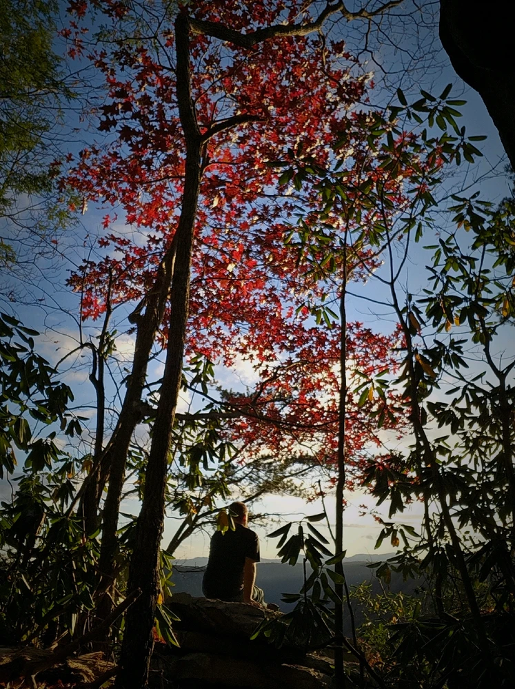 Gambar diunggah dening Anthony