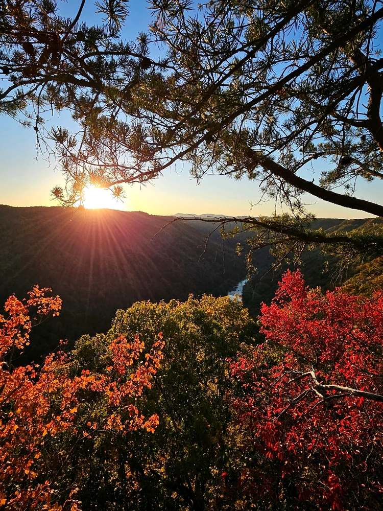 Gambar diunggah dening Anthony