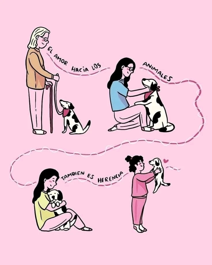 GIF augšupielādēja SiL