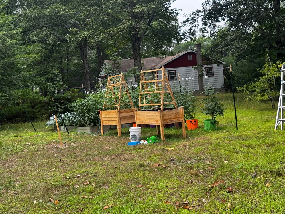 Image uploaded by Michael