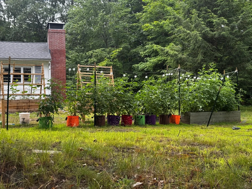 Image uploaded by Michael