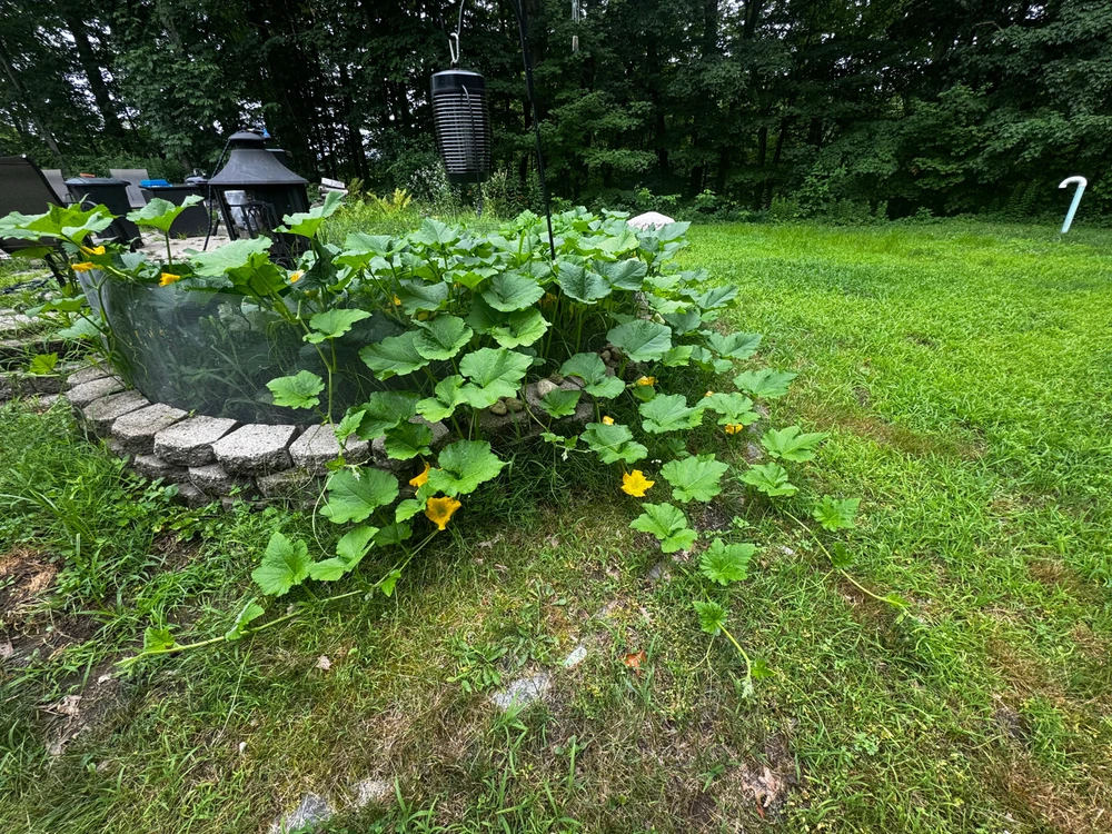 Image uploaded by Michael