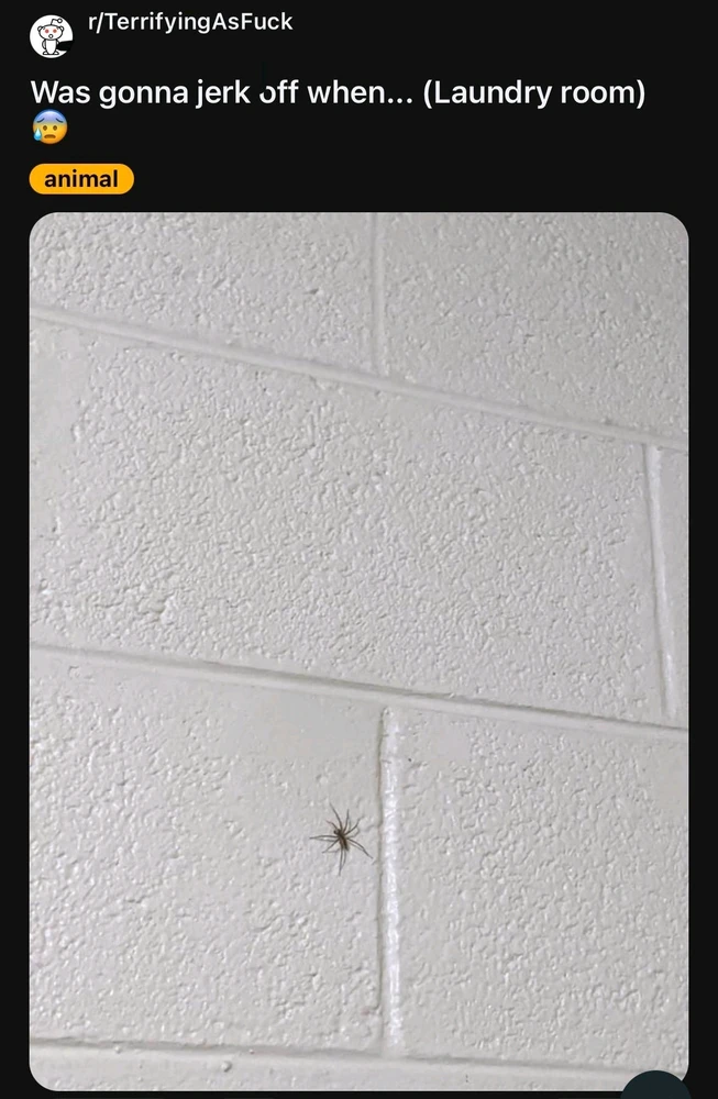 GIF uploaded by Tyler Card