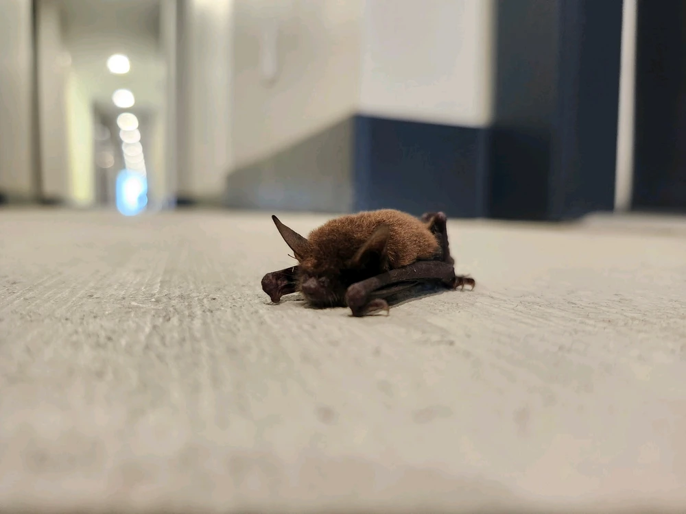 GIF uploaded by Michael