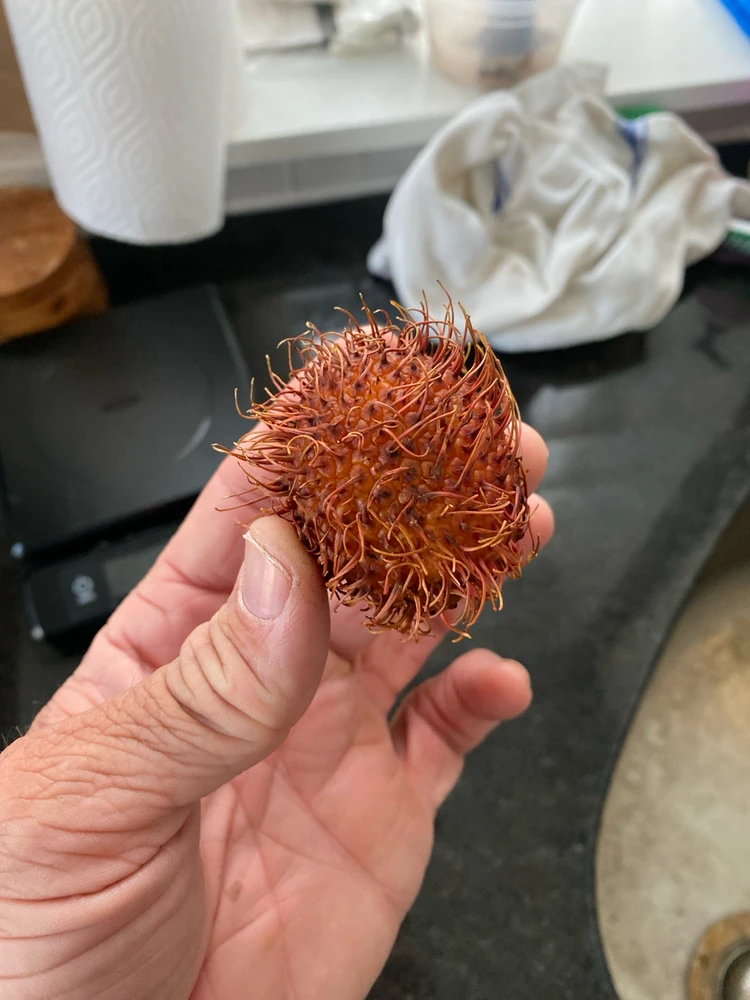 Image uploaded by Robb