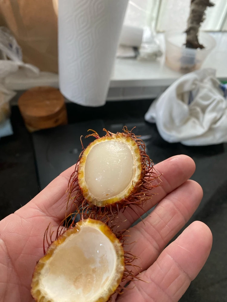 Image uploaded by Robb