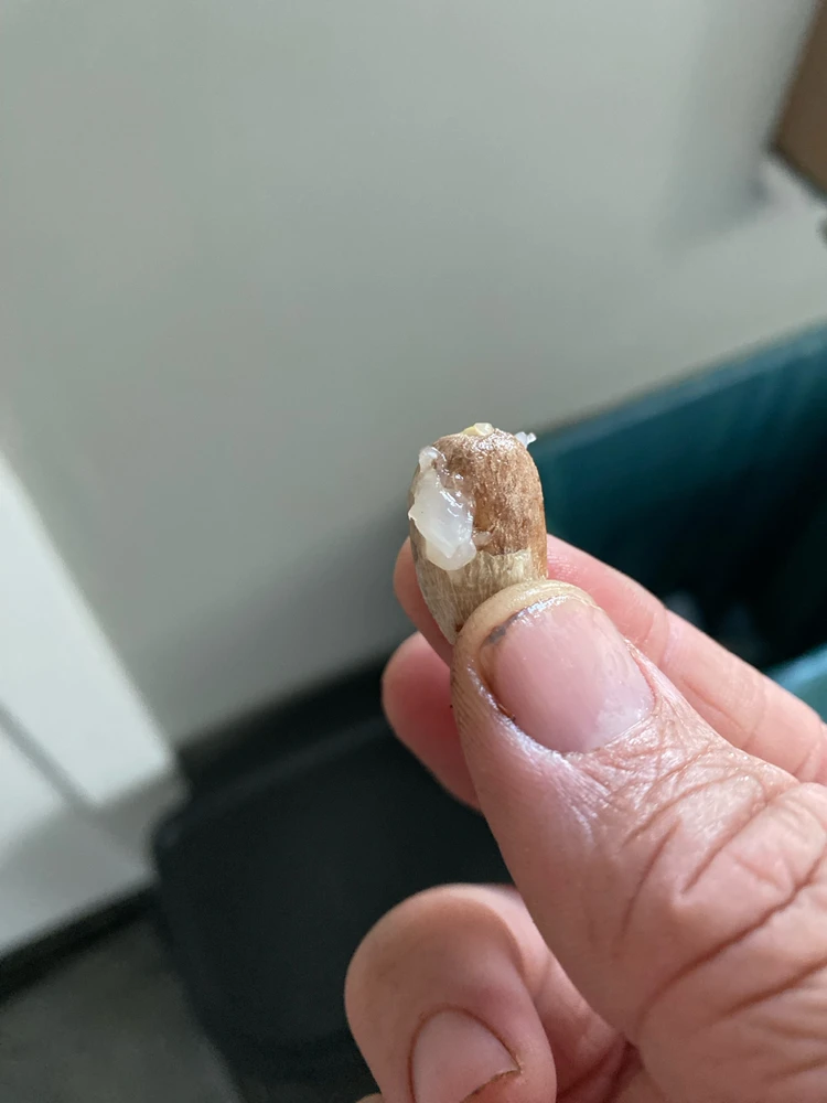 Image uploaded by Robb