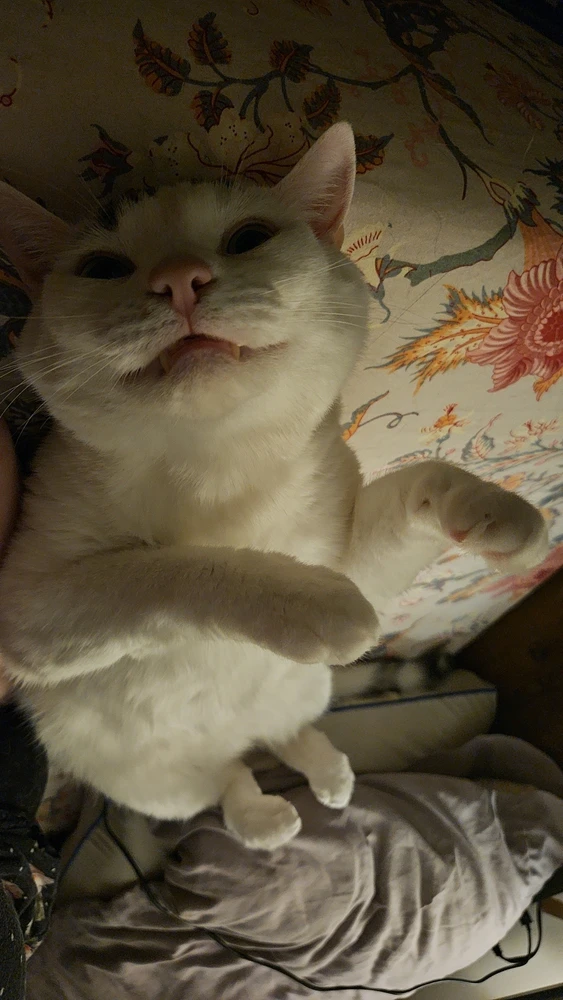 GIF subido por Krystle