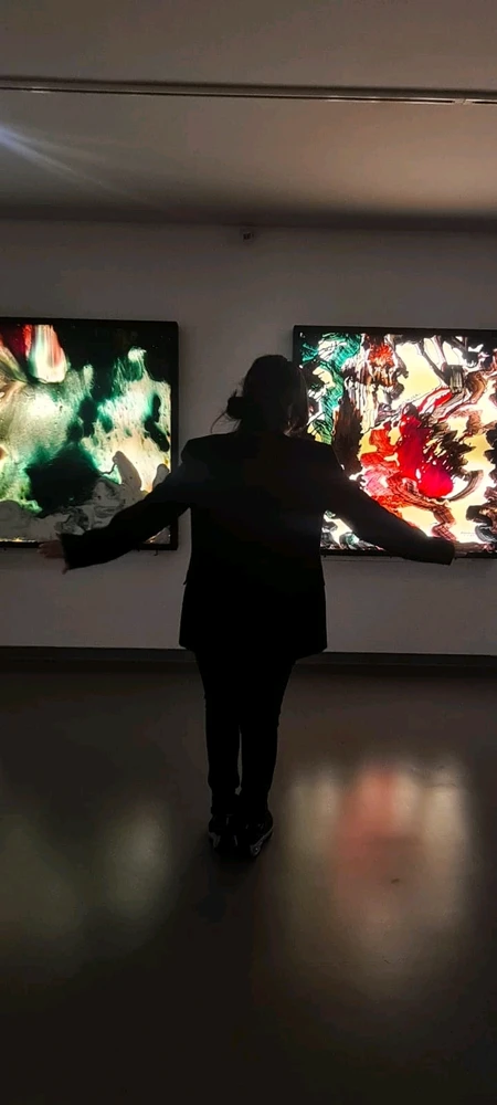 Museo de Arte Carrillo Gil