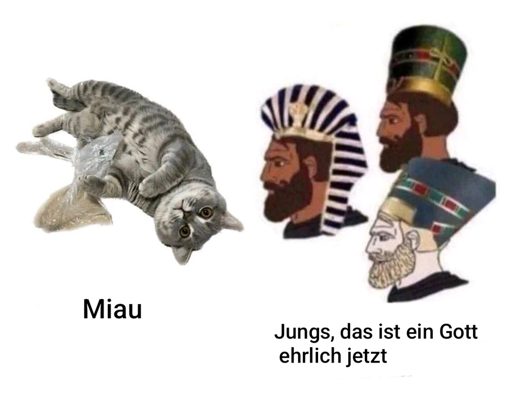 GIF uploaded by Polina