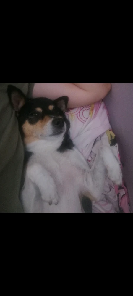 GIF הועלה על ידי Dan