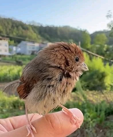 GIF hochgeladen von Osthexe