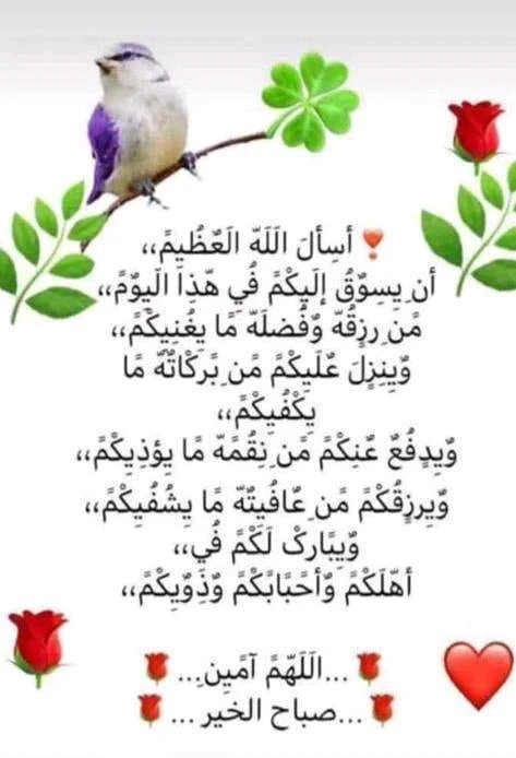 GIF رفعها ايمن مصري بالرياض