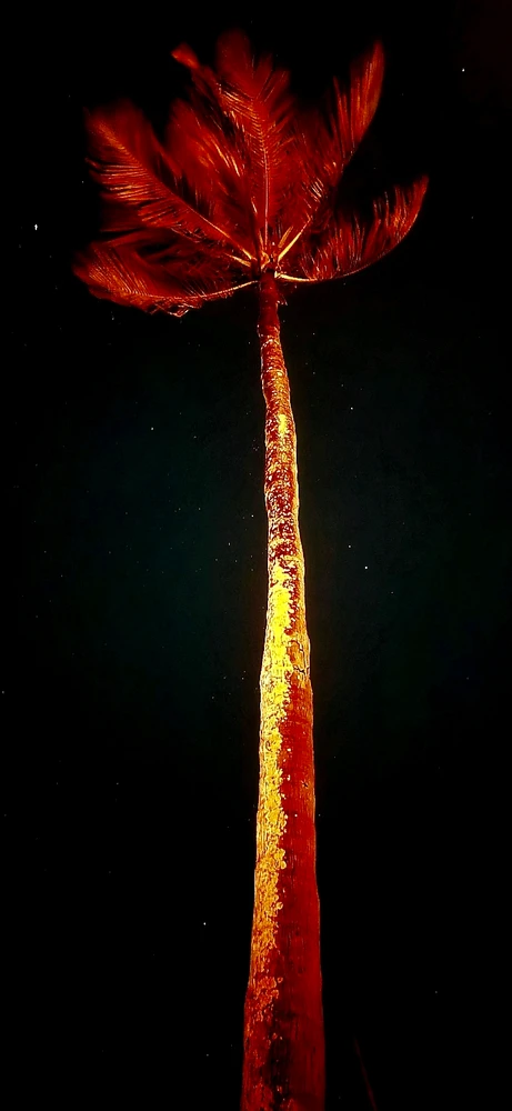 Imagen subida por Abel