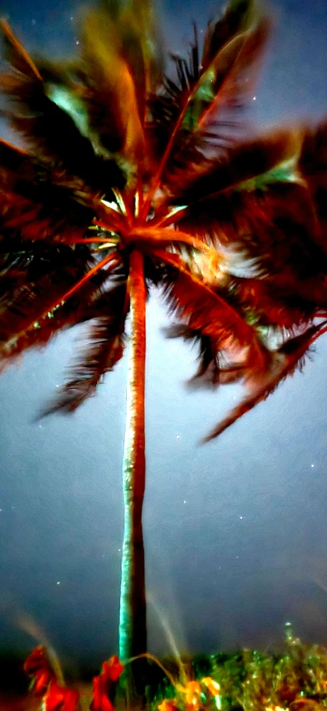 Imagen subida por Abel