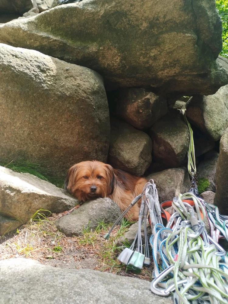 GIF dodany przez Krzych