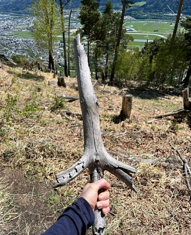 GIF subido por AFUFAIFO