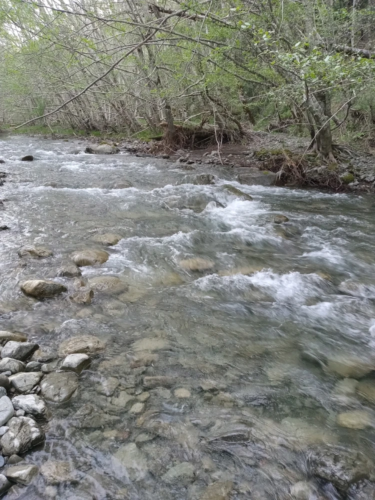 Gambar diunggah dening Benjiggity