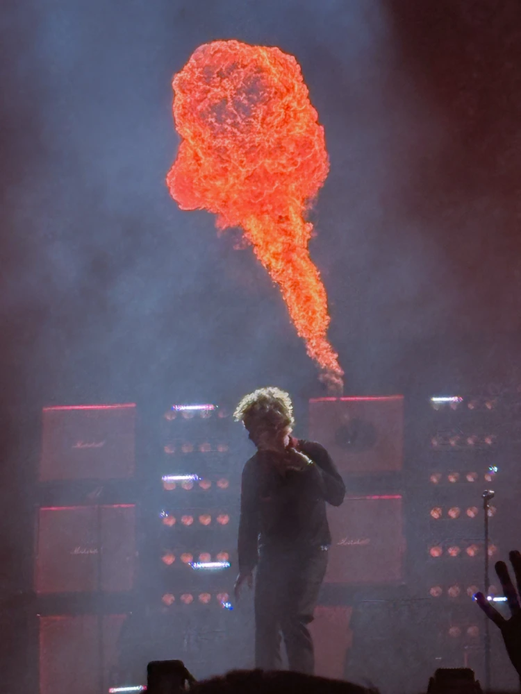 Image uploaded by Ain