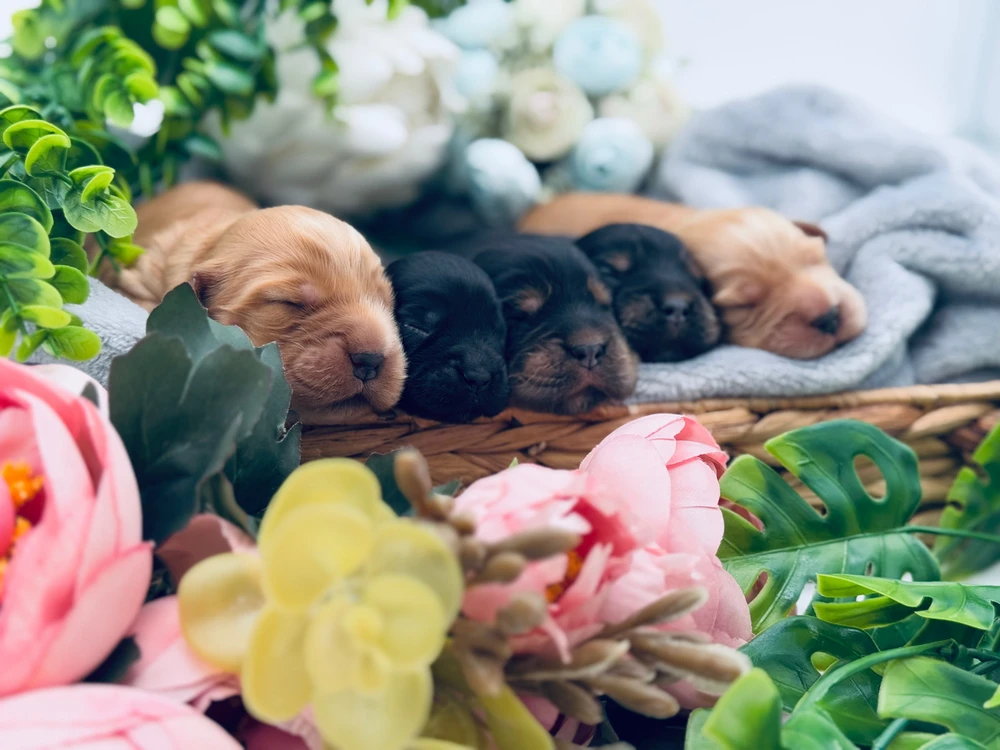 GIF caricata da Esther