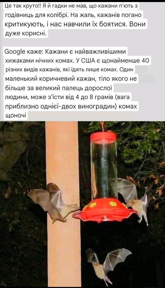 Зображення завантажив Natalia🦇