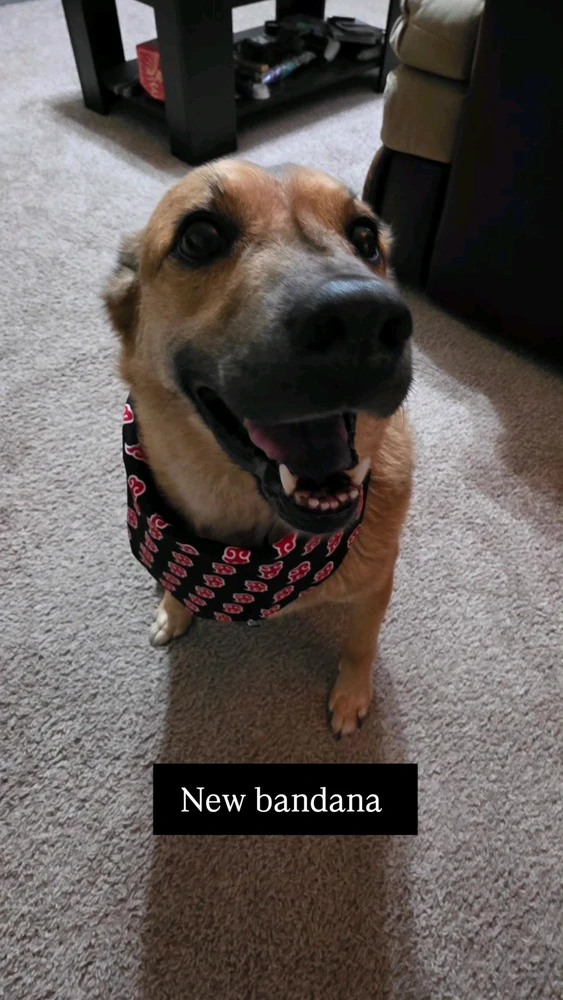 Image uploaded by Conner