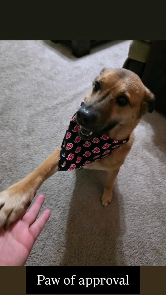 Image uploaded by Conner