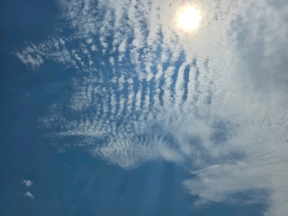 GIF uploaded by Zach