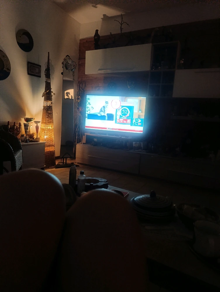 Stasera programma demenziale