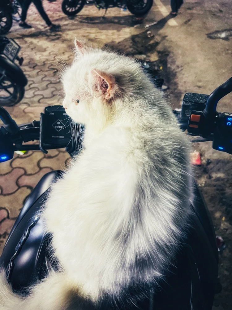 GIF uploaded by Minaal