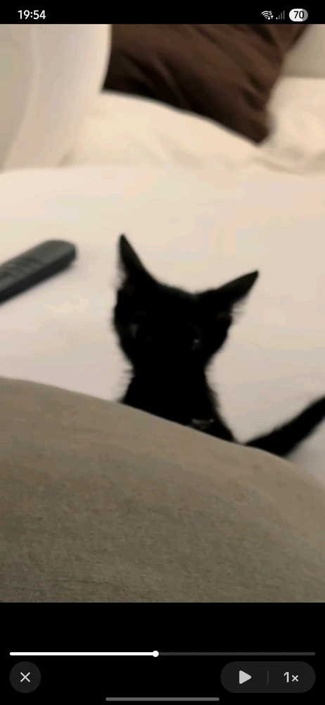 GIF uploaded by Naor