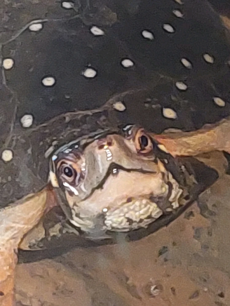 GIF uploaded by Jonathan