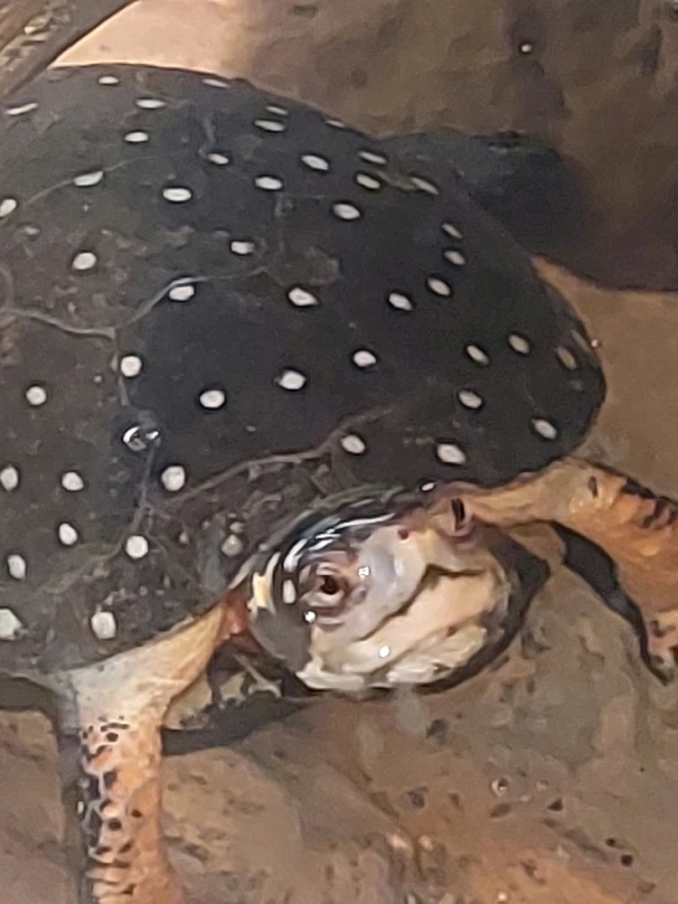 GIF uploaded by Jonathan