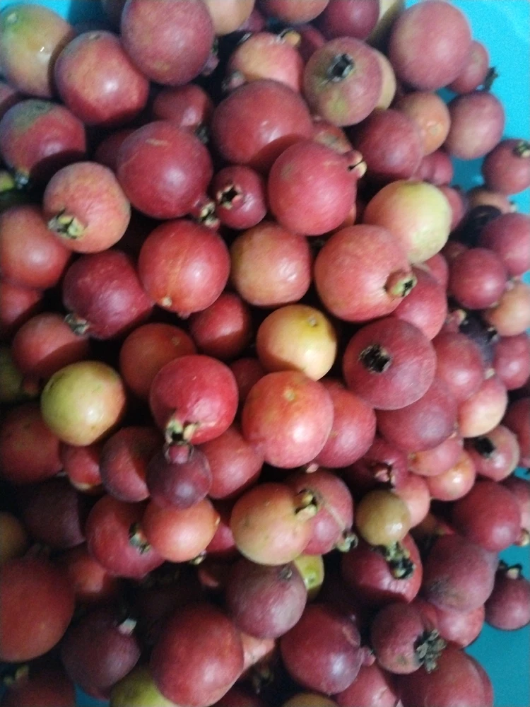 GIF subido por Mayela