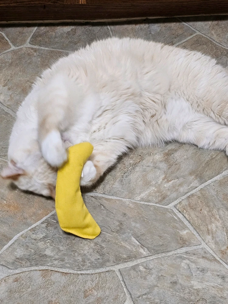 Image uploaded by Nathan