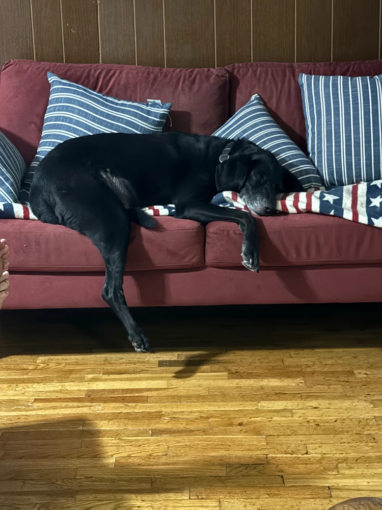 GIF uploaded by Michael