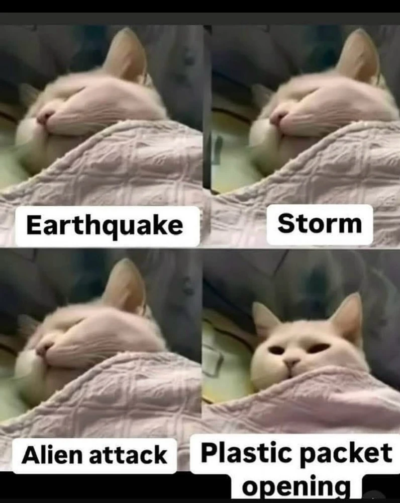 GIF uploaded by Josh