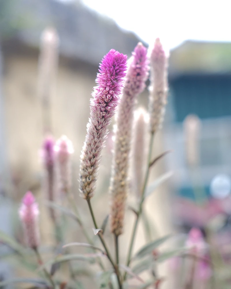 GIF uploaded by Alo