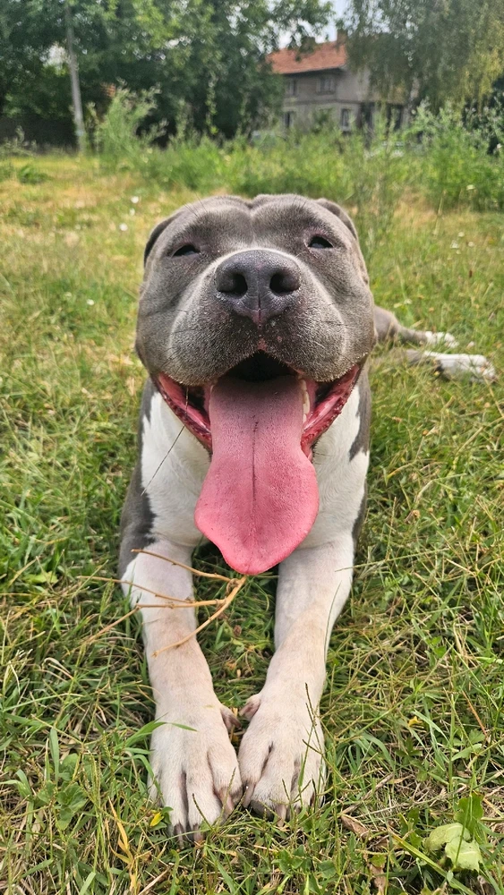 GIF качен от Кирил