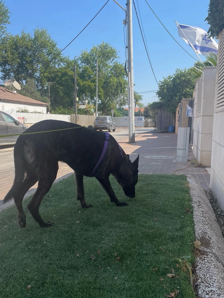 GIF הועלה על ידי Odeja