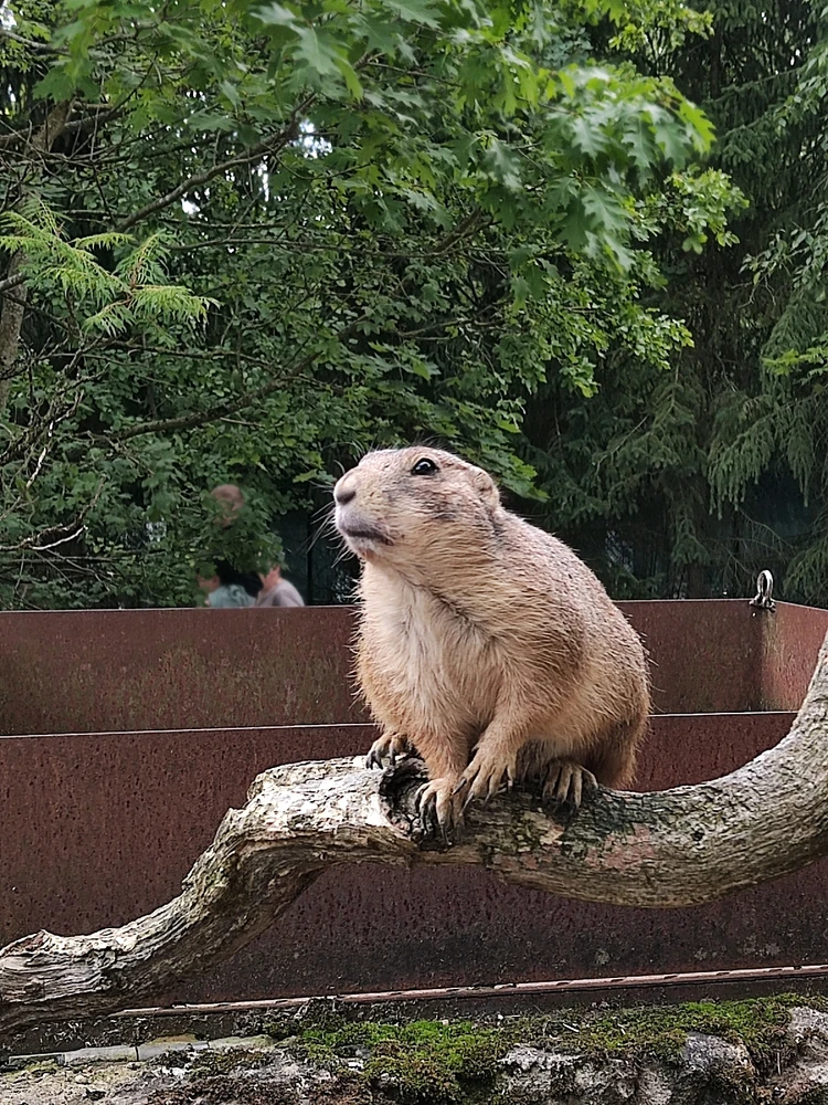 Bild hochgeladen von Daniel