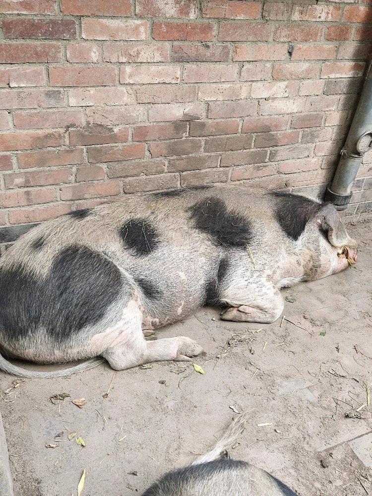 Bild hochgeladen von Daniel