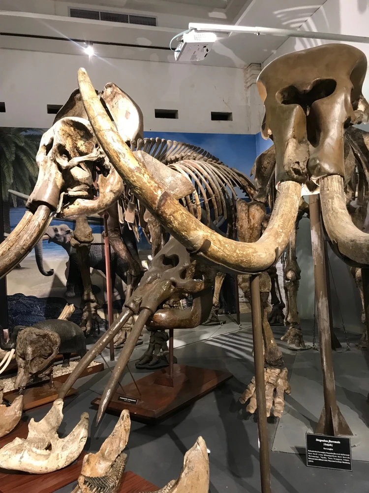 Image uploaded by ca