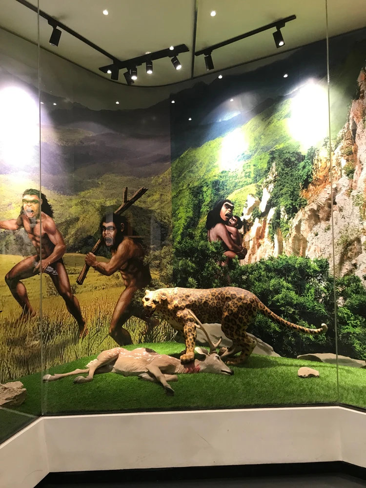 Image uploaded by ca