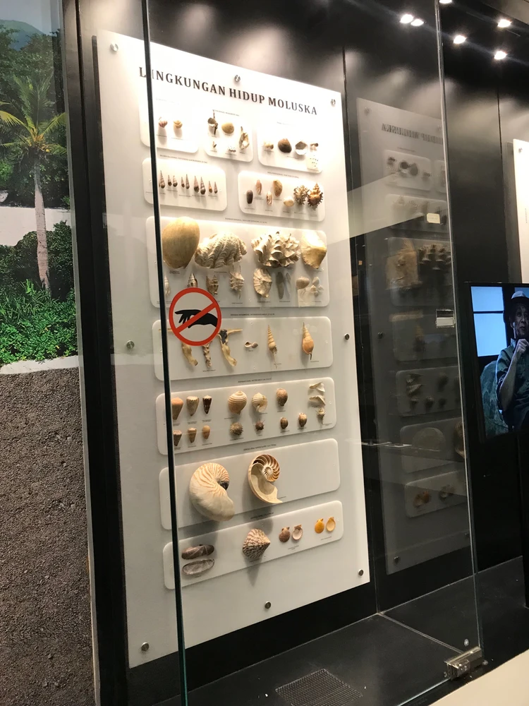 Image uploaded by ca