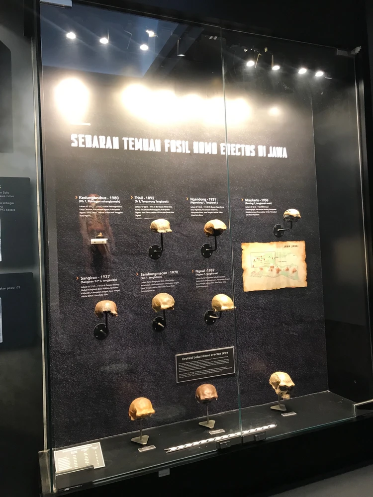 Image uploaded by ca