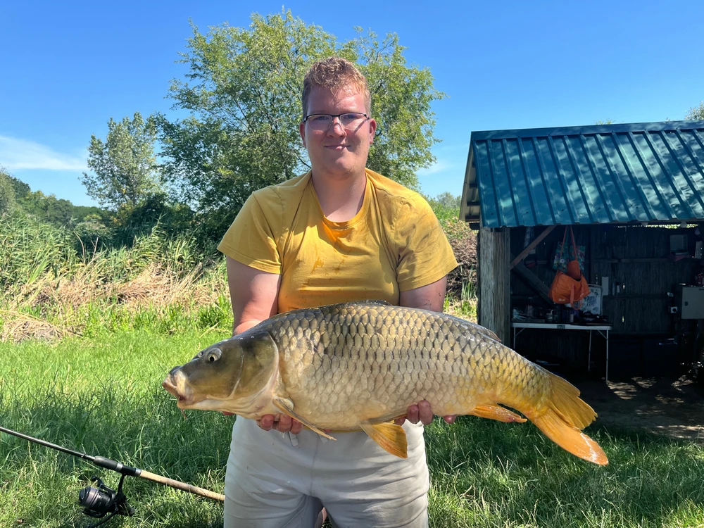 Bálint által feltöltött kép