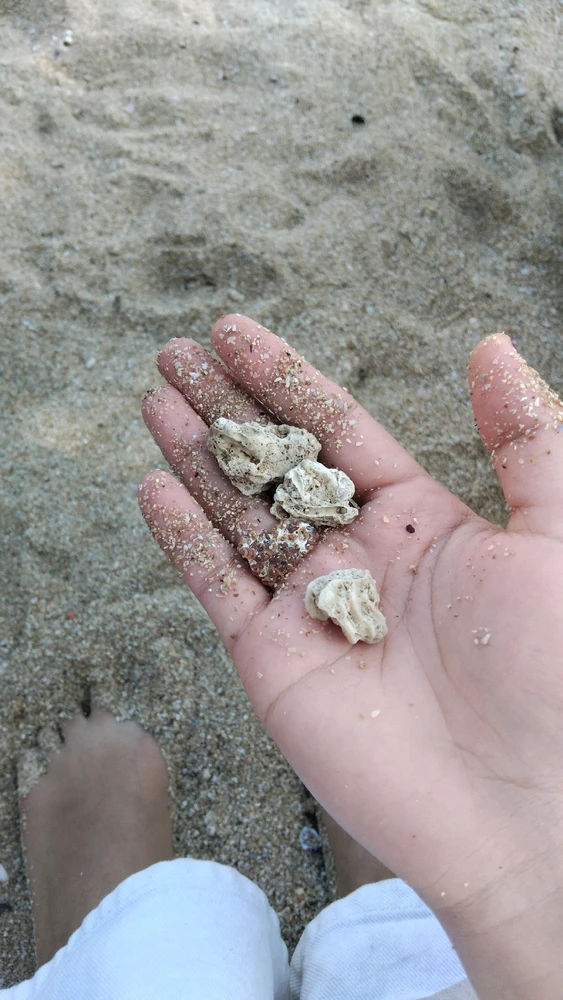 Gambar diunggah oleh Ika