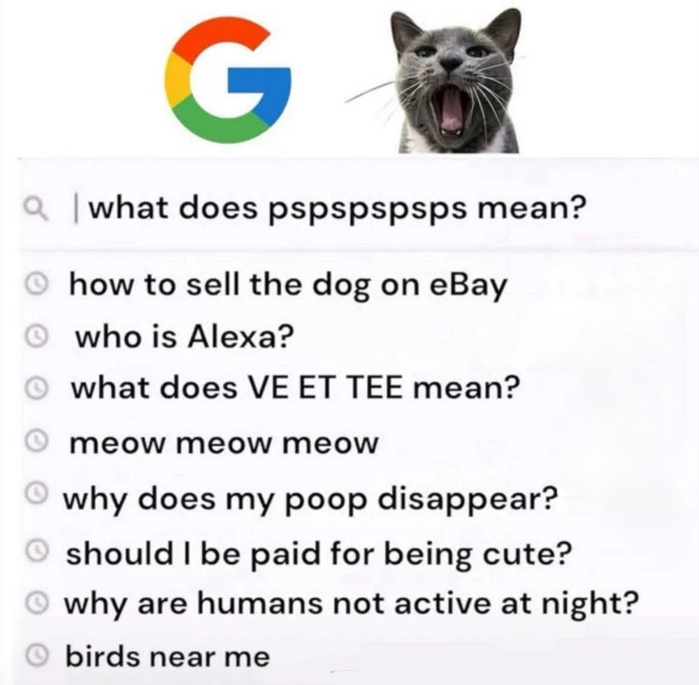 GIF hochgeladen von Doris